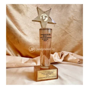 Plakat Resin Custom Exquisite Awards Winner