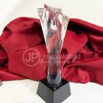 Trophy Resin Fiber Premium “Rising Star” Edition