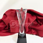 Trophy Resin Fiber Premium “Rising Star” Edition